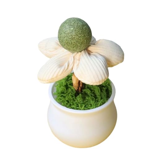 ZEPFJHE Katzenminze Blumentöpfe Spielzeug Katzen Indoor Entertainment und Zahnreinigung mit natürlichem Katzenminze Ball für Kätzchen necken Spaß Interaktion Katzenspielzeug ZEPFJHE Katzenminze Blumentöpfe Spielzeug Katzen Indoor Entertainment und Zahnreinigung mit natürlichem Katzenminze Ball für Kätzchen necken Spaß Interaktion Katzenspielzeug von ZEPFJHE