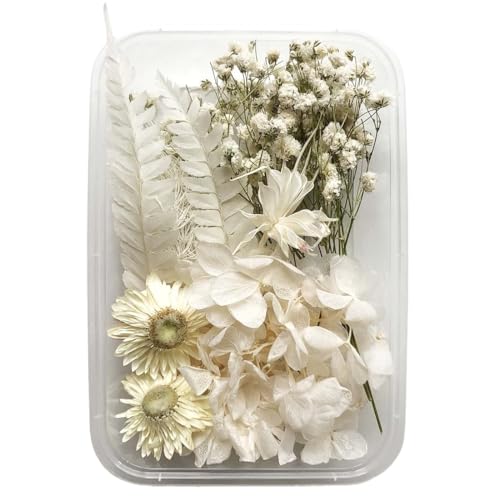 ZEPIQOR Trockenblumen zum Basteln, trockenblumen klein, trockenblumenstrauß, Echte Getrocknete Gepresste Blumen, Natürliche Blumen Deko für DIY-Kerzenharzschmuck, Nagelanhänger, Bilderrahmen (A) von ZEPIQOR