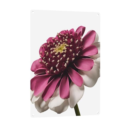 (Blume) Druck 20,3 x 30,5 cm, Aluminium-Kunst, rostfrei, für Hotels und Büros, für Sicherheits- und Informationsschilder von ZERAOKE