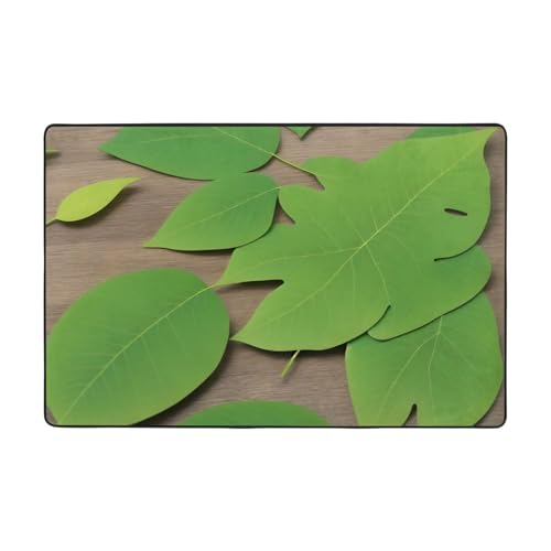ZERAOKE Green Leaf Fußmatte für den Innenbereich, langlebig, rutschfest, für Badezimmer, Hauseingang, Küche, maschinenwaschbar, Willkommens-Fußmatte, Bodenmatte, 60 x 91 cm von ZERAOKE