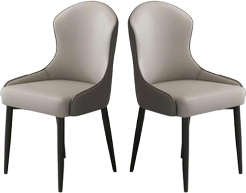 ZERAPH Moderne Esstühle Set mit 2 gepolsterten Akzentstühlen gepolsterte Seitenstuhl Sessel Wohnzimmerstühle Einfacher Haushalt Essstuhl Nordic Lounge Stuhl für Pulverzimmer/Living R geeignet von ZERAPH