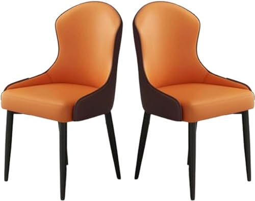 ZERAPH Moderne Esstühle Set mit 2 gepolsterten Akzentstühlen gepolsterte Seitenstuhl Sessel Wohnzimmerstühle Einfacher Haushalt Essstuhl Nordic Lounge Stuhl für Pulverzimmer/Living R geeignet von ZERAPH