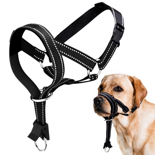 Hundemaulkorb mit Neopren-Polsterung - Verstellbar, Atmungsaktiv & Reflektierend für Kleine, Mittlere und Große Hunde - Giftköderschutz, Anti-Zieh-Funktion (SCHWARZ, L) von ZESTEFY