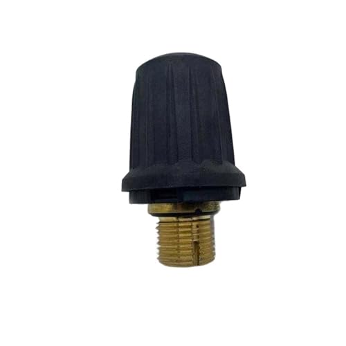 Messing-Sicherheitsventil, Kompatibel Mit Kärcher, Dampfreiniger SC-Zubehör SC1 SC2 CTK10 SC1020 SC4 SC5 SG4-4 4.590-105.0 Haushaltsgeräteteile(Sg4-4) von ZFIEQIAWE