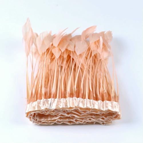 1 Meter mehrfarbige Gänsefederborte, 15–20 cm, natürlicher Gänsefederstreifen, Dekorationsband, Partykostüm, Kleidung, Nähen, Champagner, 15–20 cm 1 Meter mehrfarbige Gänsefederborte, 15–20 cm, natürlicher Gänsefederstreifen, Dekorationsband, Partykostüm, Kleidung, Nähen, Champagner, 15–20 cm von ZFISH