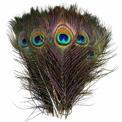 10/20 Stück natürliche Pfauenfedern, Basteln, DIY-Feder, Hochzeitsfeier, Federn, Haar, Weihnachten, Schmuckherstellung, Dekorationszubehör, 25–30 cm, natur, 20 Stück 10/20 Stück natürliche Pfauenfedern, Basteln, DIY-Feder, Hochzeitsfeier, Federn, Haar, Weihnachten, Schmuckherstellung, Dekorationszubehör, 25–30 cm, natur, 20 Stück von ZFISH