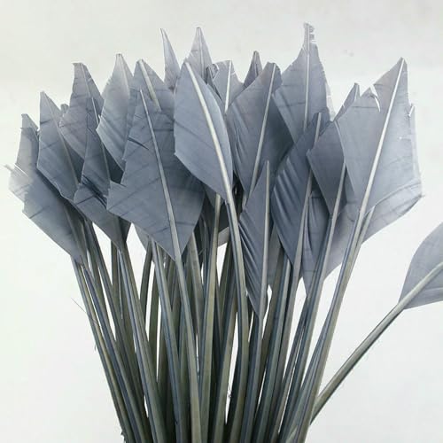 10/50 Stück Pfeil Truthahnfedern 25–30 cm/10–12 Zoll schön für Schmuck Karneval Dekorative DIY Kostüm Kopfschmuck-Gary-10 Stück 10/50 Stück Pfeil Truthahnfedern 25–30 cm/10–12 Zoll schön für Schmuck Karneval Dekorative DIY Kostüm Kopfschmuck-Gary-10 Stück von ZFISH