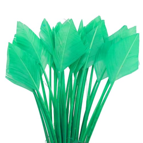 10/50 Stück Pfeil Truthahnfedern 25–30 cm/10–12 Zoll schön für Schmuck Karneval Dekorative DIY Kostüm Kopfschmuck-Minze-10 Stück 10/50 Stück Pfeil Truthahnfedern 25–30 cm/10–12 Zoll schön für Schmuck Karneval Dekorative DIY Kostüm Kopfschmuck-Minze-10 Stück von ZFISH