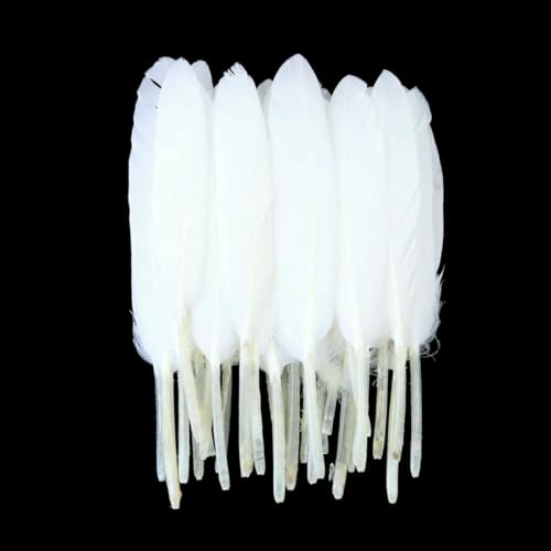 10–15 cm natürliche Gänsefedern zum Basteln, 50 Stück, Schmuckzubehör, Dekoration, gefärbte Federn, Mintgrün, Dekor, Großhandel, weiß 10–15 cm natürliche Gänsefedern zum Basteln, 50 Stück, Schmuckzubehör, Dekoration, gefärbte Federn, Mintgrün, Dekor, Großhandel, weiß von ZFISH