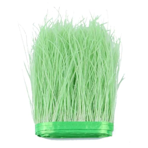 10–15 cm natürliche Pfauenfedern, Fransenbesatz, färbende Pfauenfedern auf Band, Hochzeitskleid, dekorative Feder zum Basteln, individuell – Grün 10–15 cm natürliche Pfauenfedern, Fransenbesatz, färbende Pfauenfedern auf Band, Hochzeitskleid, dekorative Feder zum Basteln, individuell – Grün von ZFISH
