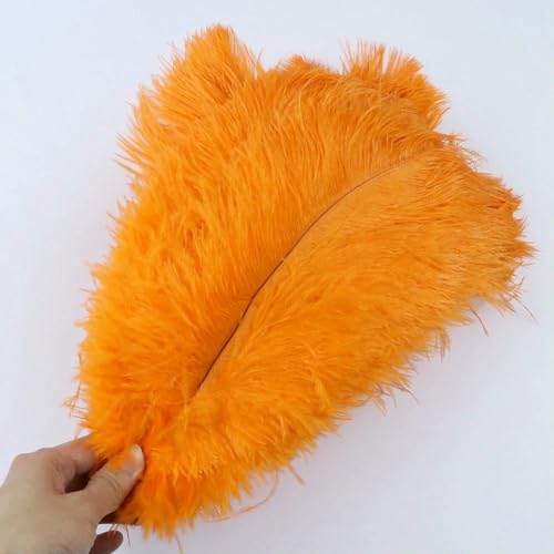 10 Stück/Los Natürliche weiße Straußenfedern 15–35 cm Bunte Straußenfedern Party Hochzeit Heimdekoration Tischdekoration Kunsthandwerk-Orange-20–25 cm 10 Stück/Los Natürliche weiße Straußenfedern 15–35 cm Bunte Straußenfedern Party Hochzeit Heimdekoration Tischdekoration Kunsthandwerk-Orange-20–25 cm von ZFISH
