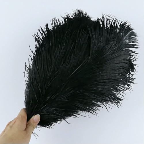 10 Stück/Los Natürliche weiße Straußenfedern 15–35 cm Bunte Straußenfedern Party Hochzeit Heimdekoration Tischdekoration Kunsthandwerk-Schwarz-15–20 cm 10 Stück/Los Natürliche weiße Straußenfedern 15–35 cm Bunte Straußenfedern Party Hochzeit Heimdekoration Tischdekoration Kunsthandwerk-Schwarz-15–20 cm von ZFISH