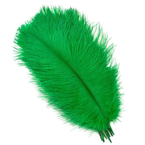 10 Stück/Los Neue farbige Straußenfedern zum Basteln, Hochzeitsdekoration, DIY, Urlaub, Karneval, Hochzeit, Federn, Massenzubehör, 15–40 cm, Grasgrün, 35–40 cm 10 Stück/Los Neue farbige Straußenfedern zum Basteln, Hochzeitsdekoration, DIY, Urlaub, Karneval, Hochzeit, Federn, Massenzubehör, 15–40 cm, Grasgrün, 35–40 cm von ZFISH