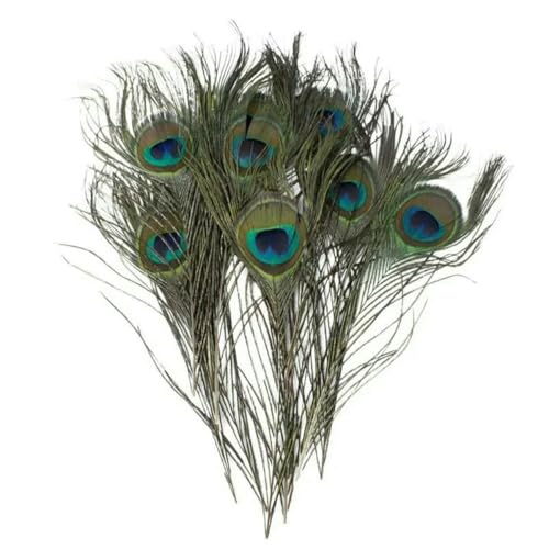 10 Stück/Los natürlich gefärbte Pfauenfedern zum Basteln, 25–30 cm/10–12 Zoll, Pfauenfeder, Heimdekoration, Zubehör, Karnevalsfedern, Natur 10 Stück/Los natürlich gefärbte Pfauenfedern zum Basteln, 25–30 cm/10–12 Zoll, Pfauenfeder, Heimdekoration, Zubehör, Karnevalsfedern, Natur von ZFISH