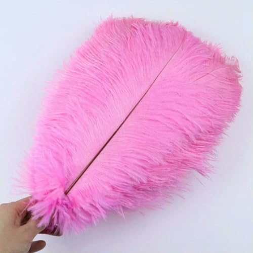 10 Stück/Los natürliche weiße Straußenfedern 15–35 cm bunte Straußenfedern Party Hochzeit Heimdekoration Tischdekoration Kunsthandwerk-Dunkelrosa-20–25 cm 10 Stück/Los natürliche weiße Straußenfedern 15–35 cm bunte Straußenfedern Party Hochzeit Heimdekoration Tischdekoration Kunsthandwerk-Dunkelrosa-20–25 cm von ZFISH
