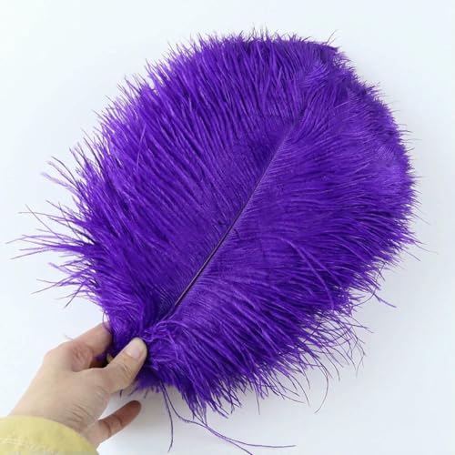 10 Stück/Los natürliche weiße Straußenfedern 15–35 cm bunte Straußenfedern Party Hochzeit Heimdekoration Tischdekoration Kunsthandwerk-Dunkelviolett-25–30 cm 10 Stück/Los natürliche weiße Straußenfedern 15–35 cm bunte Straußenfedern Party Hochzeit Heimdekoration Tischdekoration Kunsthandwerk-Dunkelviolett-25–30 cm von ZFISH