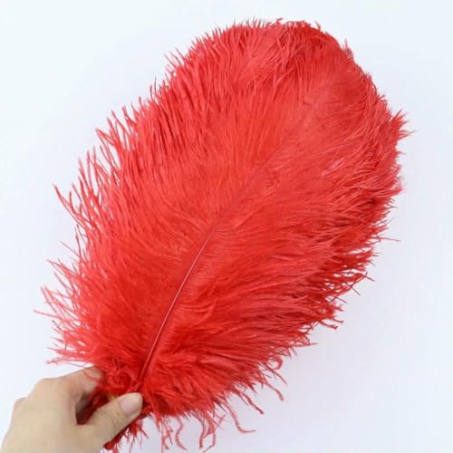10 Stück/Los natürliche weiße Straußenfedern 15–35 cm bunte Straußenfedern Party Hochzeit Heimdekoration Tischdekoration Kunsthandwerk-Rot-20–25 cm 10 Stück/Los natürliche weiße Straußenfedern 15–35 cm bunte Straußenfedern Party Hochzeit Heimdekoration Tischdekoration Kunsthandwerk-Rot-20–25 cm von ZFISH