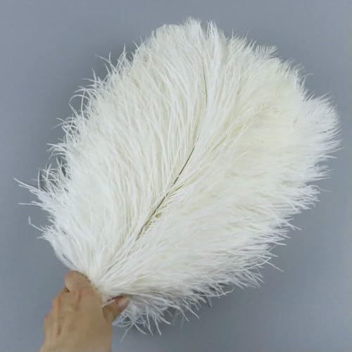 10 Stück/Los natürliche weiße Straußenfedern 15–35 cm bunte Straußenfedern Party Hochzeit Heimdekoration Tischdekoration Kunsthandwerk-Weiß-20–25 cm 10 Stück/Los natürliche weiße Straußenfedern 15–35 cm bunte Straußenfedern Party Hochzeit Heimdekoration Tischdekoration Kunsthandwerk-Weiß-20–25 cm von ZFISH