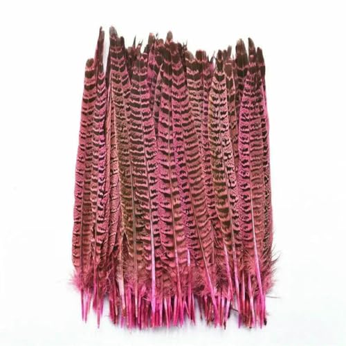 10 Stück/Lot weibliche Fasanenschwanzfedern zum Basteln, 25–30 cm/10–12 Zoll, natürliche Fasanenfeder-Dekoration, Pluma-Federdekor, Plumas-25–30 cm, Rosa 10 Stück/Lot weibliche Fasanenschwanzfedern zum Basteln, 25–30 cm/10–12 Zoll, natürliche Fasanenfeder-Dekoration, Pluma-Federdekor, Plumas-25–30 cm, Rosa von ZFISH