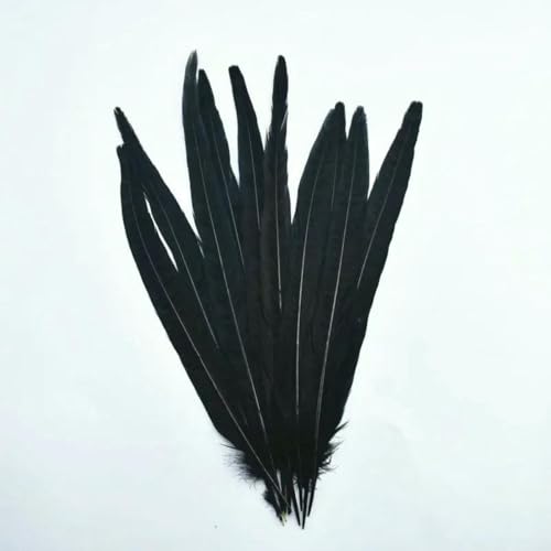 10 Stück/Lot weibliche Fasanenschwanzfedern zum Basteln, 25–30 cm/10–12 Zoll, natürliche Fasanenfeder-Dekoration, Pluma-Federdekor, Plumas-25–30 cm, Schwarz 10 Stück/Lot weibliche Fasanenschwanzfedern zum Basteln, 25–30 cm/10–12 Zoll, natürliche Fasanenfeder-Dekoration, Pluma-Federdekor, Plumas-25–30 cm, Schwarz von ZFISH