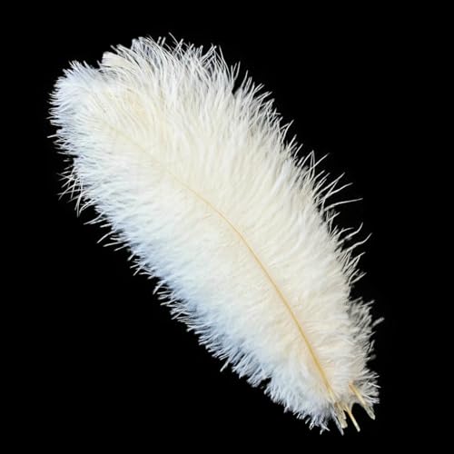 10 Stück 15–60 cm große Straußenfedern, weiße Straußenfedern, Karnevalstischdekoration, Party- und Hochzeitszubehör, Dekoration, Weiß, 15–20 cm 10 Stück 15–60 cm große Straußenfedern, weiße Straußenfedern, Karnevalstischdekoration, Party- und Hochzeitszubehör, Dekoration, Weiß, 15–20 cm von ZFISH