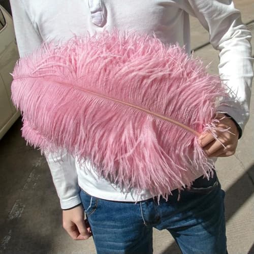 10 Stück große Straußenfedern, 15–60 cm, für Heimwerker, Basteln, Hochzeit, Tischdekoration, Straußenfedern, Karneval, Party, Bühnenzubehör, Großpackung, Bohnenpaste, rosa, 55–60 cm 10 Stück große Straußenfedern, 15–60 cm, für Heimwerker, Basteln, Hochzeit, Tischdekoration, Straußenfedern, Karneval, Party, Bühnenzubehör, Großpackung, Bohnenpaste, rosa, 55–60 cm von ZFISH