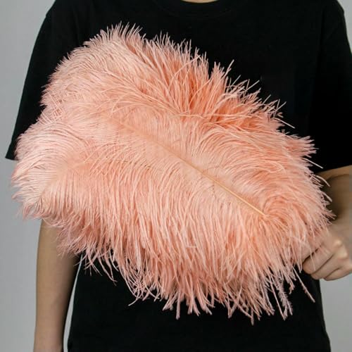 10 Stück große Straußenfedern, 15–60 cm, für Heimwerker, Basteln, Hochzeit, Tischdekoration, Straußenfedern, Karneval, Party, Bühnenzubehör, Großpackung, Garnelenrosa, 55–60 cm 10 Stück große Straußenfedern, 15–60 cm, für Heimwerker, Basteln, Hochzeit, Tischdekoration, Straußenfedern, Karneval, Party, Bühnenzubehör, Großpackung, Garnelenrosa, 55–60 cm von ZFISH