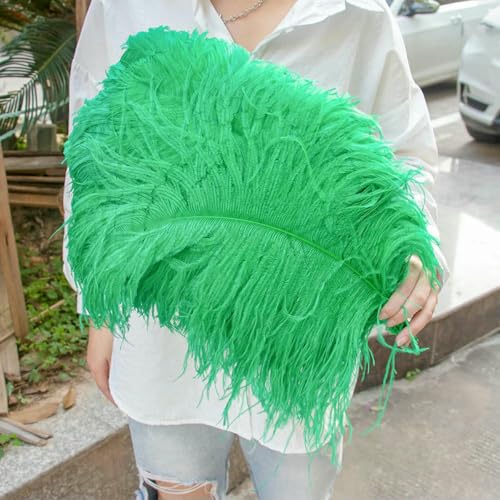 10 Stück große Straußenfedern, 15–60 cm, für Heimwerker, Basteln, Hochzeit, Tischdekoration, Straußenfedern, Karneval, Party, Bühnenzubehör, Großpackung, Grasgrün, 25–30 cm 10 Stück große Straußenfedern, 15–60 cm, für Heimwerker, Basteln, Hochzeit, Tischdekoration, Straußenfedern, Karneval, Party, Bühnenzubehör, Großpackung, Grasgrün, 25–30 cm von ZFISH