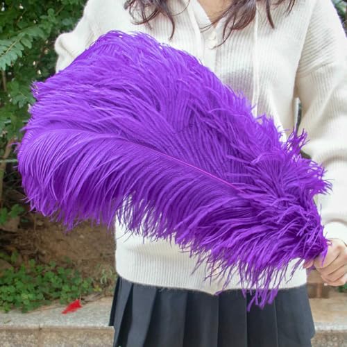 10 Stück große Straußenfedern, 15–60 cm, für Heimwerker, Basteln, Hochzeit, Tischdekoration, Straußenfedern, Karneval, Party, Bühnenzubehör, Großpackung, Lila, 55–60 cm 10 Stück große Straußenfedern, 15–60 cm, für Heimwerker, Basteln, Hochzeit, Tischdekoration, Straußenfedern, Karneval, Party, Bühnenzubehör, Großpackung, Lila, 55–60 cm von ZFISH