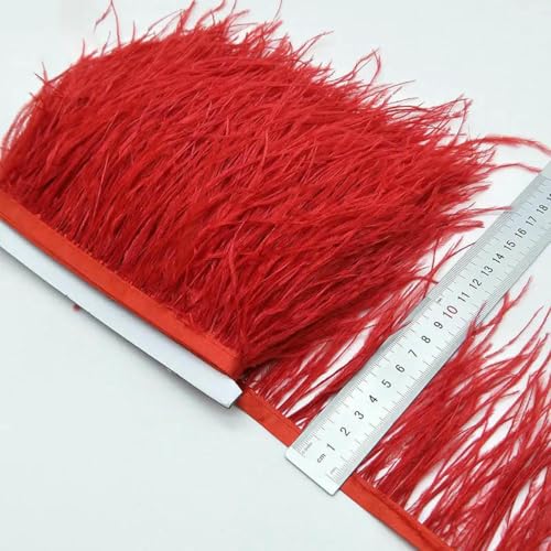 10 Yards Silbergraues Straußenfederband Straußenfederbesatz Fransen Kleidungsdekoration-rot-5 Yards 10 Yards Silbergraues Straußenfederband Straußenfederbesatz Fransen Kleidungsdekoration-rot-5 Yards von ZFISH