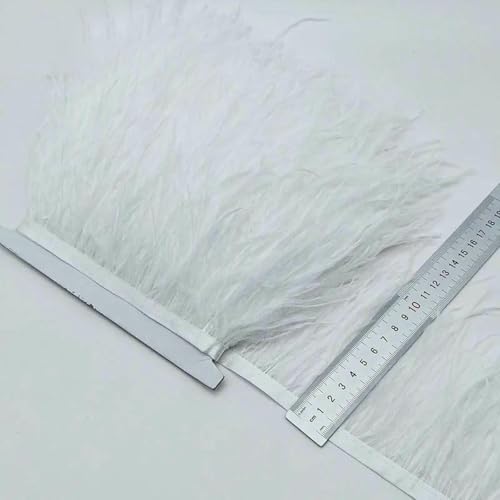 10 Yards Silbergraues Straußenfederband Straußenfederbesatz Fransen Kleidungsdekoration-weiß-2 Yards 10 Yards Silbergraues Straußenfederband Straußenfederbesatz Fransen Kleidungsdekoration-weiß-2 Yards von ZFISH