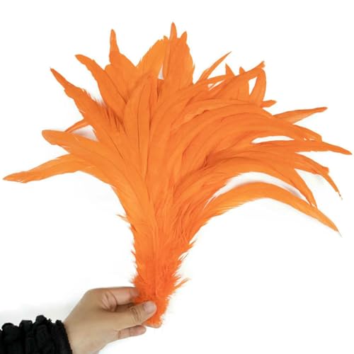 100 Stück/Los Rote Hahnenschwanzfedern, 25–40 cm, bunte Hühnerfedern für Karnevalskostüme, Kopfbedeckungen, Dekoration, Plumas-Orange-35–40 cm, 100 Stück 100 Stück/Los Rote Hahnenschwanzfedern, 25–40 cm, bunte Hühnerfedern für Karnevalskostüme, Kopfbedeckungen, Dekoration, Plumas-Orange-35–40 cm, 100 Stück von ZFISH