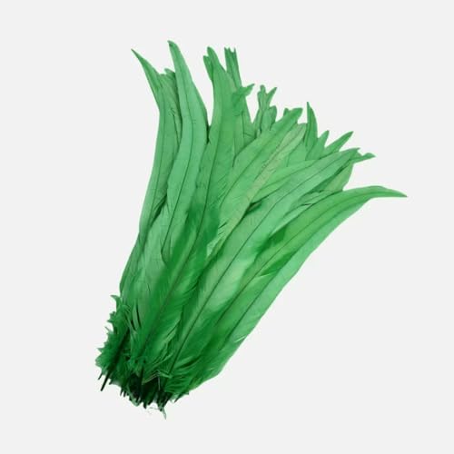 100 Stück 25–45 cm DIY Hahnenfedern Basteln Nähen Kleidung Dekor Federn Home Party Damen Feder Kopfbedeckung Hochzeitszubehör-Grasgrün-100 Stück-35–40 cm 100 Stück 25–45 cm DIY Hahnenfedern Basteln Nähen Kleidung Dekor Federn Home Party Damen Feder Kopfbedeckung Hochzeitszubehör-Grasgrün-100 Stück-35–40 cm von ZFISH