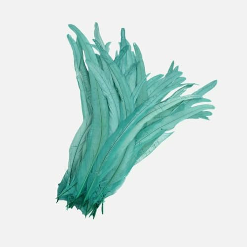 100 Stück 25–45 cm DIY Hahnenfedern Basteln Nähen Kleidung Dekor Federn Home Party Damen Feder Kopfbedeckung Hochzeitszubehör-Mintgrün-100 Stück-30–35 cm 100 Stück 25–45 cm DIY Hahnenfedern Basteln Nähen Kleidung Dekor Federn Home Party Damen Feder Kopfbedeckung Hochzeitszubehör-Mintgrün-100 Stück-30–35 cm von ZFISH