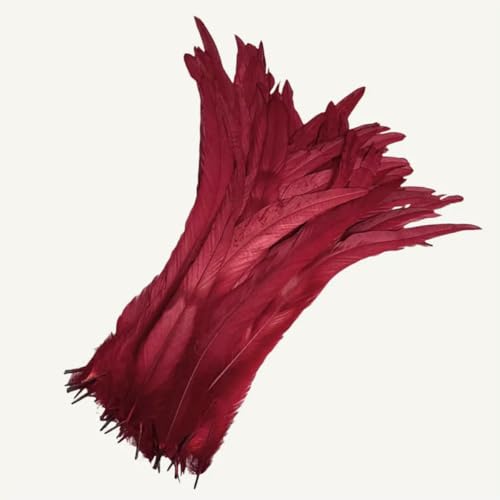 100 Stück 25–45 cm DIY Hahnenfedern Basteln Nähen Kleidung Dekor Federn Home Party Damen Feder Kopfbedeckung Hochzeitszubehör-Weinrot-100 Stück-40–45 cm 100 Stück 25–45 cm DIY Hahnenfedern Basteln Nähen Kleidung Dekor Federn Home Party Damen Feder Kopfbedeckung Hochzeitszubehör-Weinrot-100 Stück-40–45 cm von ZFISH