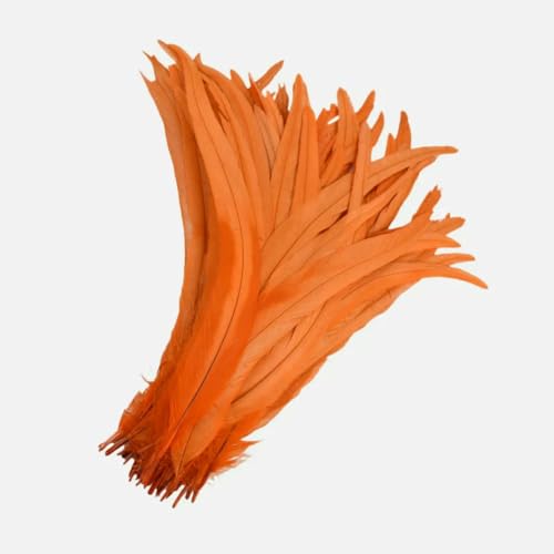 100 Stück 25–45 cm DIY Hahnenfedern zum Basteln, Nähen, Kleidung, Dekoration, Federn, Home-Party, Damenfedern, Kopfbedeckungen, Hochzeitszubehör, orange, 100 Stück, 40–45 cm 100 Stück 25–45 cm DIY Hahnenfedern zum Basteln, Nähen, Kleidung, Dekoration, Federn, Home-Party, Damenfedern, Kopfbedeckungen, Hochzeitszubehör, orange, 100 Stück, 40–45 cm von ZFISH