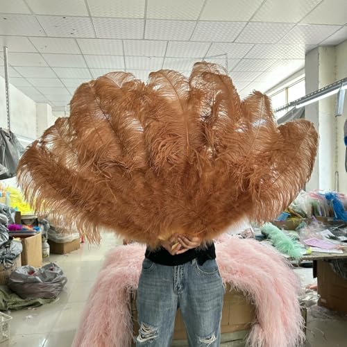 13 Bars Big Ostrich Feathers Fan Dancing Fan Plumes Folding Fan Ms.Belly Show Props Decor Accessory 1pcs 2pcs 100cm/130cm-Coffee-130cm 2pcs von ZFISH