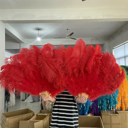 13 Knochen Natürlicher weißer Straußenfederfächer für Tanzshows, Halloween-Partys, Hochzeiten, Bühnenrequisiten, Handgehaltener flauschiger Straußenfederfächer, Rot, 2 Stück 13 Knochen Natürlicher weißer Straußenfederfächer für Tanzshows, Halloween-Partys, Hochzeiten, Bühnenrequisiten, Handgehaltener flauschiger Straußenfederfächer, Rot, 2 Stück von ZFISH