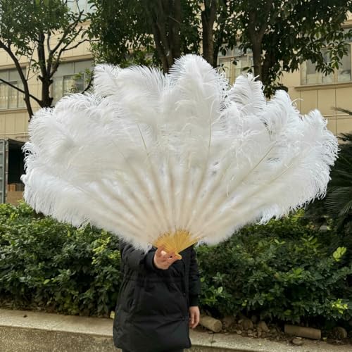 130 cm großer roter Straußenfederfächer, Ostern, Bauchtanz, Bühnenauftritt, Federfächer, flauschig, 13 Knochen, Handfedern, Bastelfächer, Weiß, 100 cm, 1 Stück 130 cm großer roter Straußenfederfächer, Ostern, Bauchtanz, Bühnenauftritt, Federfächer, flauschig, 13 Knochen, Handfedern, Bastelfächer, Weiß, 100 cm, 1 Stück von ZFISH