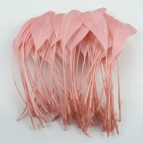 20 Stück/Lot Bunte Gänsefedern Dekor Dekoration Schwarz Weiß Gänsefedern für Handwerk Schmuck Hochzeit Handwerk Zubehör-Muschelrosa 20 Stück/Lot Bunte Gänsefedern Dekor Dekoration Schwarz Weiß Gänsefedern für Handwerk Schmuck Hochzeit Handwerk Zubehör-Muschelrosa von ZFISH