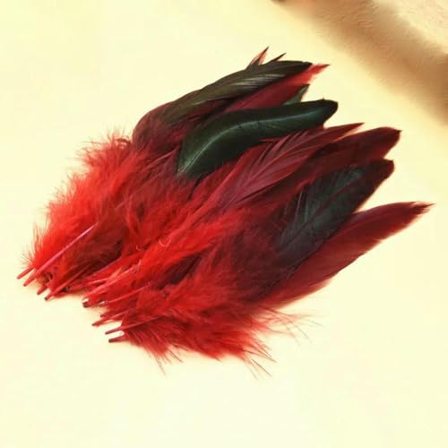 20 Stück/Packung natürliche Fasanenfedern, DIY-Bastelschmuckzubehör-Hahnschwanz-20 Stück 20 Stück/Packung natürliche Fasanenfedern, DIY-Bastelschmuckzubehör-Hahnschwanz-20 Stück von ZFISH