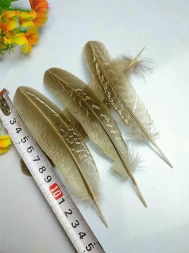 20 Stück/Packung natürliche Fasanenfedern, DIY-Bastelschmuckzubehör-natürliche Farbe_i-10 Stück 20 Stück/Packung natürliche Fasanenfedern, DIY-Bastelschmuckzubehör-natürliche Farbe_i-10 Stück von ZFISH