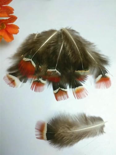 20 Stück/Packung natürliche Fasanenfedern, DIY-Bastelschmuckzubehör-natürliche Farbe_k-20 Stück von ZFISH