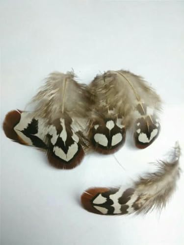 20 Stück/Packung natürliche Fasanenfedern, DIY-Bastelschmuckzubehör-natürliche Farbe_m-10 Stück 20 Stück/Packung natürliche Fasanenfedern, DIY-Bastelschmuckzubehör-natürliche Farbe_m-10 Stück von ZFISH