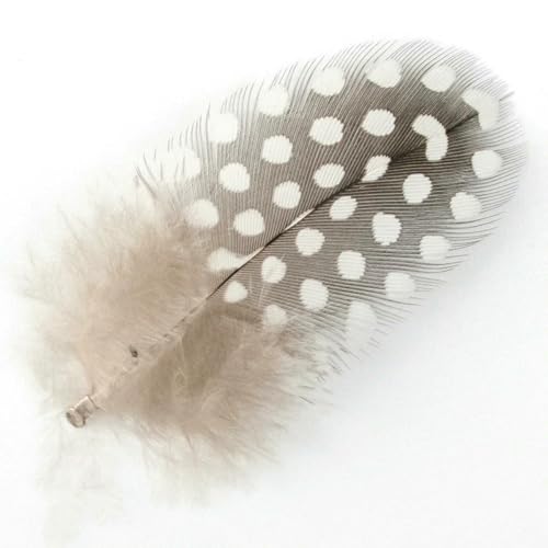 5–10 cm Perlhuhn-Perlenfedern für Bastelarbeiten, Heimdekoration, Schmuck, Ohrringe, Kopfschmuck, Accessoire, türkis gefleckt, natur, 300 Stück 5–10 cm Perlhuhn-Perlenfedern für Bastelarbeiten, Heimdekoration, Schmuck, Ohrringe, Kopfschmuck, Accessoire, türkis gefleckt, natur, 300 Stück von ZFISH