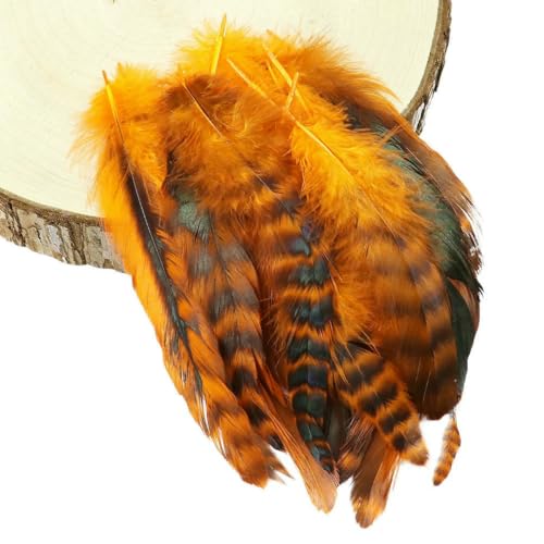50/100 Stück natürliche Hühnerfedern, Hochzeits- und Party-Dekoration, DIY, farbige Hahnenfedern, Schmuckherstellung, Haarschmuck, Basteln, 10–15 cm, orange, 50 Stück 50/100 Stück natürliche Hühnerfedern, Hochzeits- und Party-Dekoration, DIY, farbige Hahnenfedern, Schmuckherstellung, Haarschmuck, Basteln, 10–15 cm, orange, 50 Stück von ZFISH