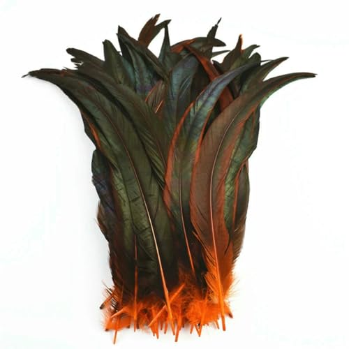 50 Stück/Los Bunte natürliche Hahnenfedern zur Dekoration Schwarzer Fasan Hühnerhahn Feder Karneval Bastelzubehör-Orange-30-35cm 12-14inch 50 Stück/Los Bunte natürliche Hahnenfedern zur Dekoration Schwarzer Fasan Hühnerhahn Feder Karneval Bastelzubehör-Orange-30-35cm 12-14inch von ZFISH
