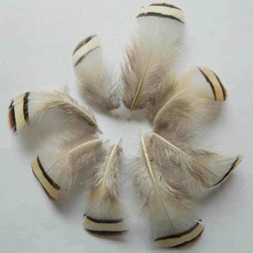 50 Teile/los! 4-7 cm! Gefärbte Fasanenfedern für Schmuck/Fascinator, Fliegenbindematerialien, 10 Farben erhältlich - Natur 50 Teile/los! 4-7 cm! Gefärbte Fasanenfedern für Schmuck/Fascinator, Fliegenbindematerialien, 10 Farben erhältlich - Natur von ZFISH