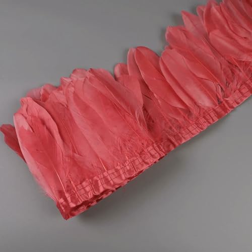 Dekorative Gänsefedern auf Band für Handarbeiten, Karnevalsdekor, Fransen für Kleidung, Kleider, Nähen, Kunst und Handwerk – 21 dunkle Melone – 10 Meter Dekorative Gänsefedern auf Band für Handarbeiten, Karnevalsdekor, Fransen für Kleidung, Kleider, Nähen, Kunst und Handwerk – 21 dunkle Melone – 10 Meter von ZFISH