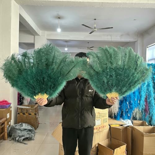 Fächer aus natürlichen lila Straußenfedern für Tanzshows, Halloween-Partys, Hochzeiten, Bühnenrequisiten, Handfächer mit flauschigen weißen Federn, 13 Knochen, Dunkelgrün, Kleiner großer Fächer, 2 S Fächer aus natürlichen lila Straußenfedern für Tanzshows, Halloween-Partys, Hochzeiten, Bühnenrequisiten, Handfächer mit flauschigen weißen Federn, 13 Knochen, Dunkelgrün, Kleiner großer Fächer, 2 S von ZFISH